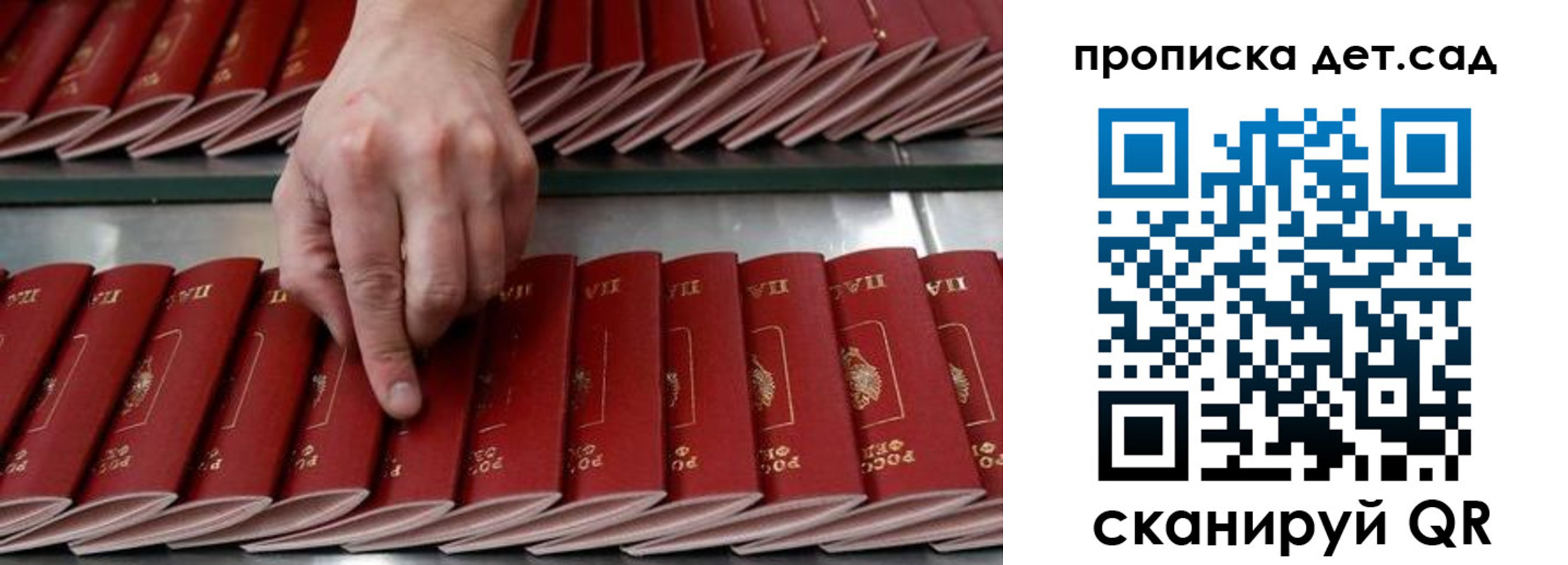 прописка иностранных граждан в Зеленоградске
